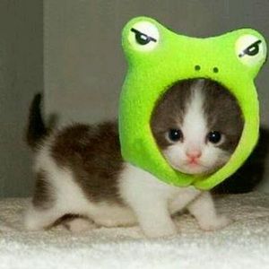 Meet your Posher, Mya